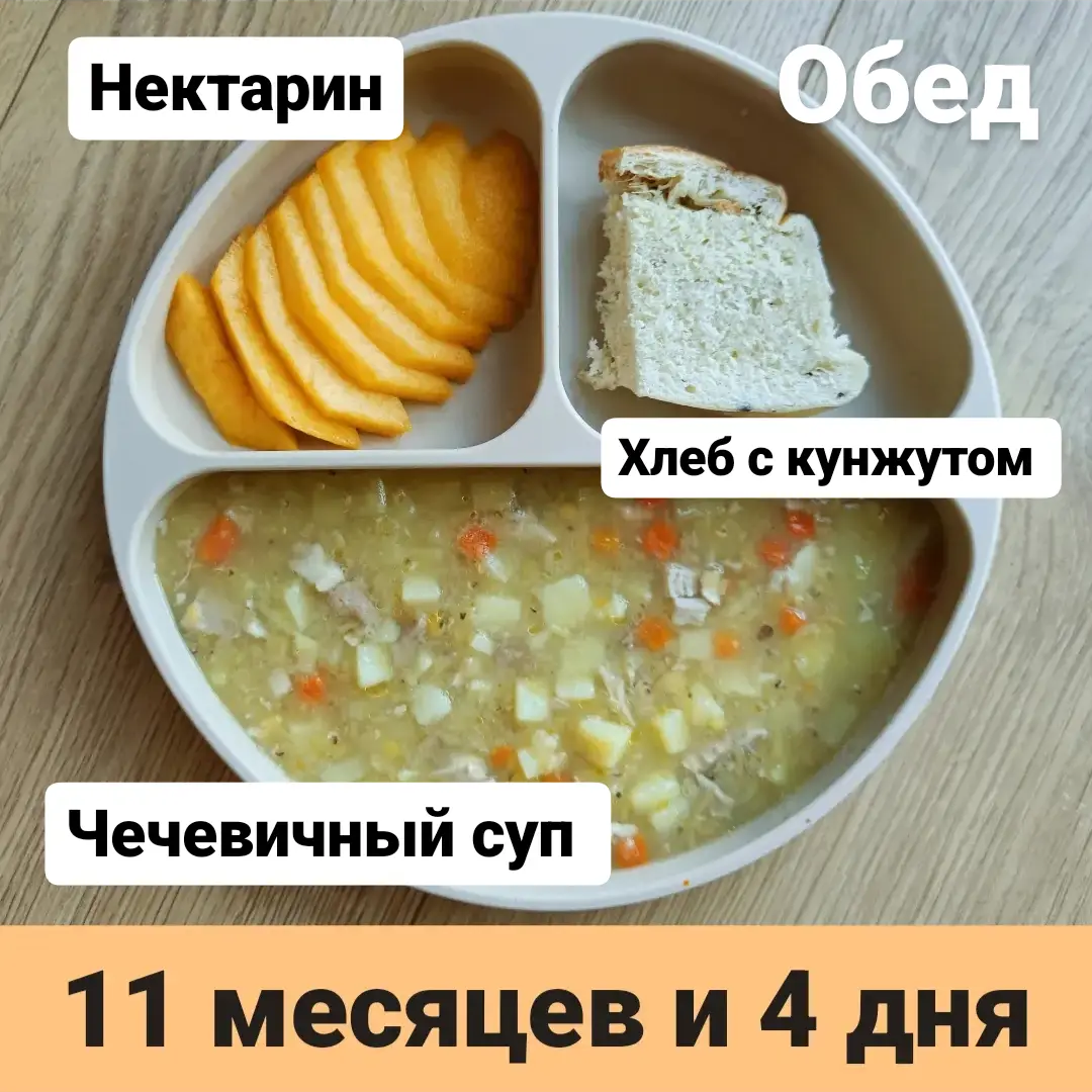 Пример тарелки в 11 месяцев 