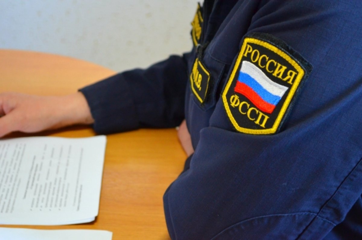    Орчанка обратилась к судебным приставам с просьбой защитить ее от коллекторов.