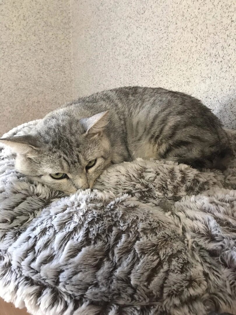 Чем я оказался плох, не пойму?