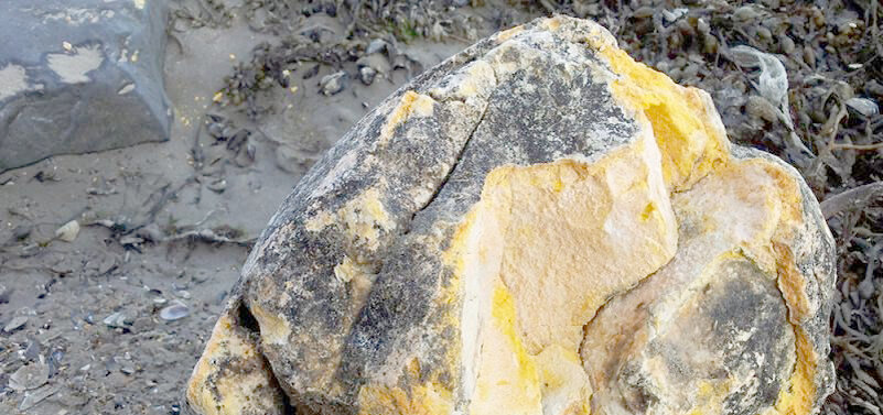 Есть истории о том, как люди находили такие "волшебные камушки" на берегу и получали за них несколько тысяч долларов