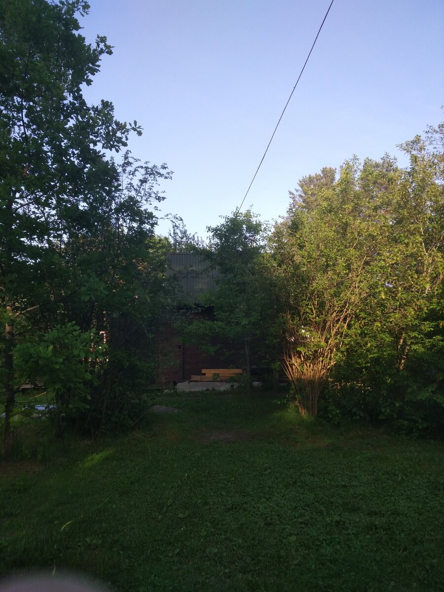 На даче- красота.