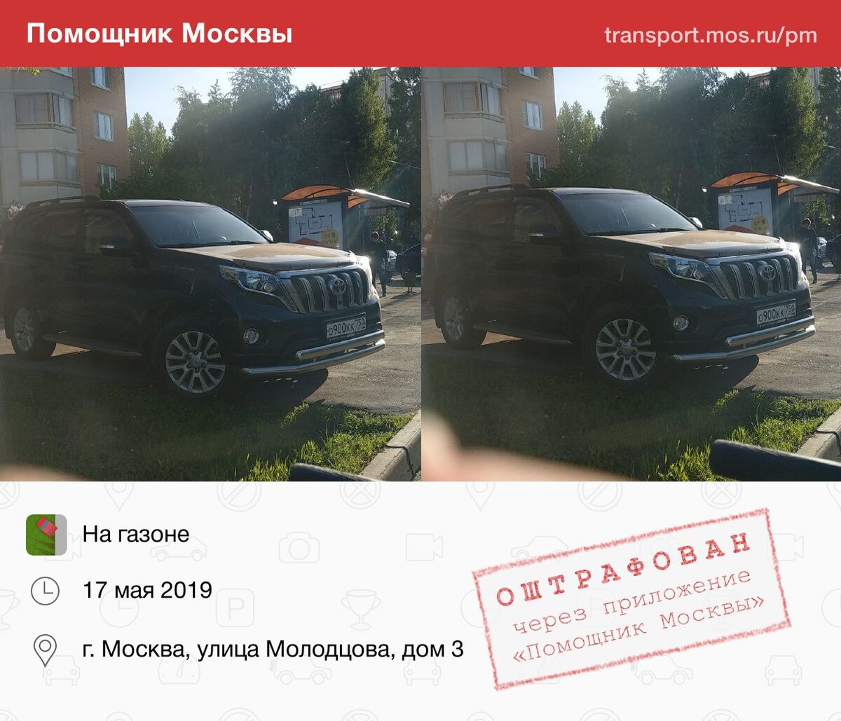 Как стать помощником москвы. Помощник Москвы. Московский помощник