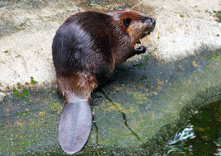 Чего вылупился? Я здесь работаю, между прочим!