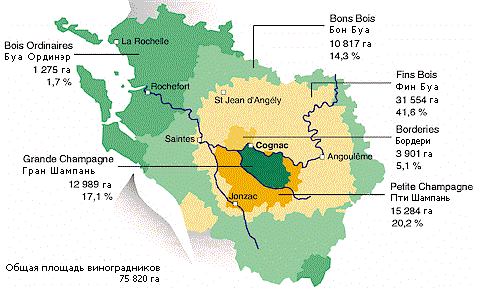 Уникальные климатические и почвенные особенности каждого апелласьона придают коньячным спиртам свой неповторимый оттенок вкуса и аромата. Фото из свободного источника "Яндекс.Картинки" 