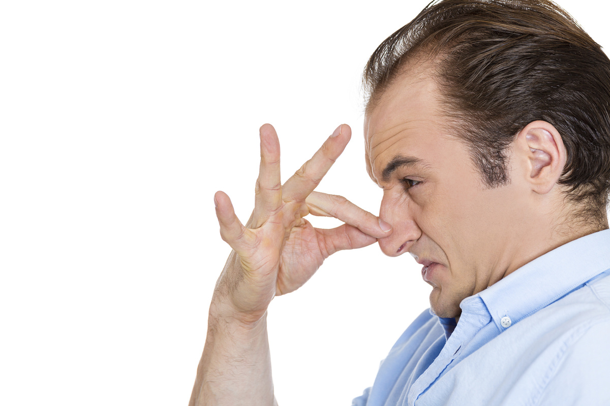 Фото из открытого источника yandex.ru