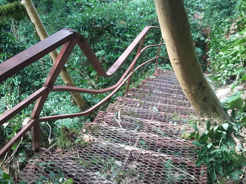 Фото: пресс-служба Кавказского биосферного заповедника