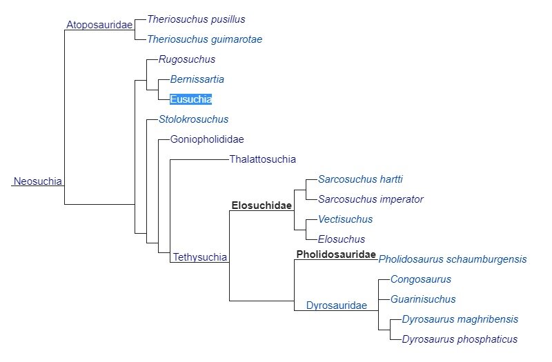 Филогенетическое положение фоллидозавридов (Pholidosauridae, выделены черным) по данным из работы Andrade et al. (2011). Отряд крокодилов (Crocodilia) располагается в кладе Eusuchia, выделенной с синим фоном. Взято из английской википедии.