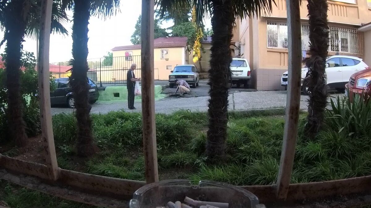 Фото взято из открытых источников