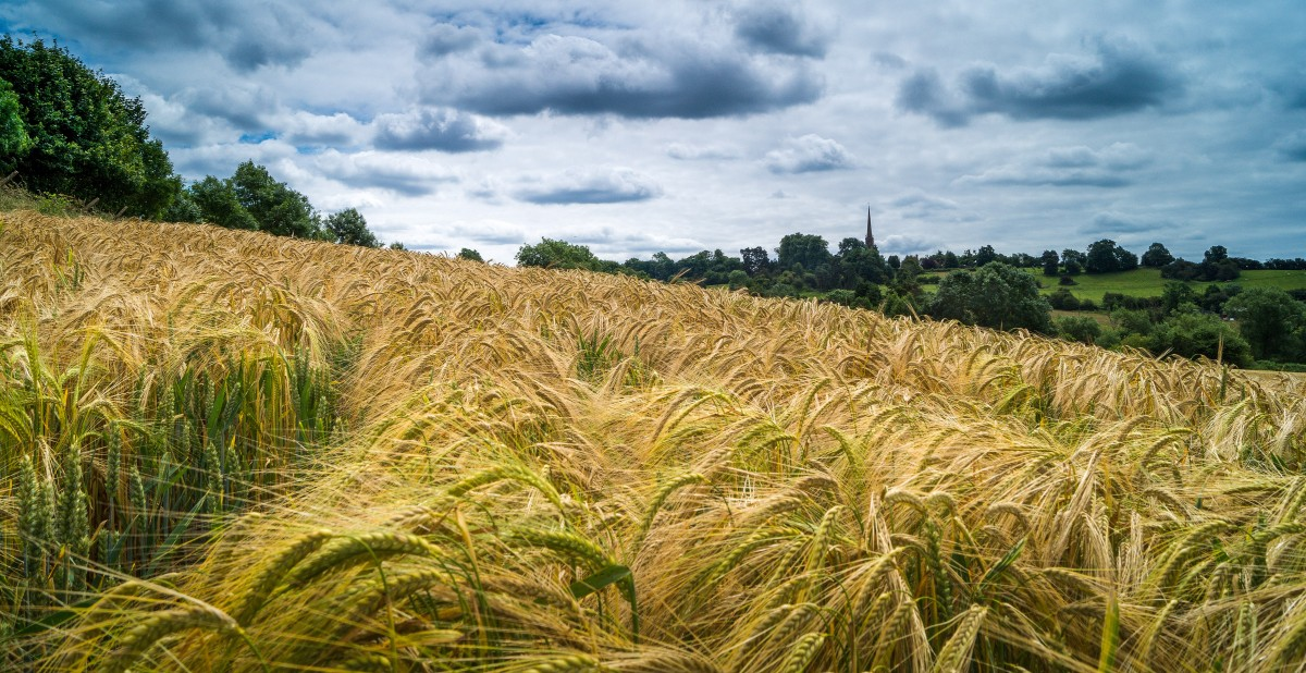 https://c.pxhere.com/photos/2d/cd/land_scape_tardebigge_bromsgrove_worcestershire_england_farm_farming-461464.jpg!d