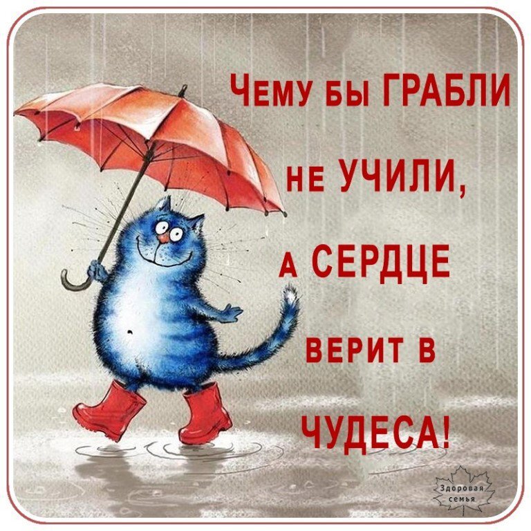 Источник Яндекс.Картинки