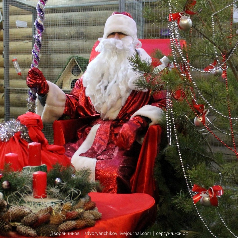 Настоящий Дед мороз:) 