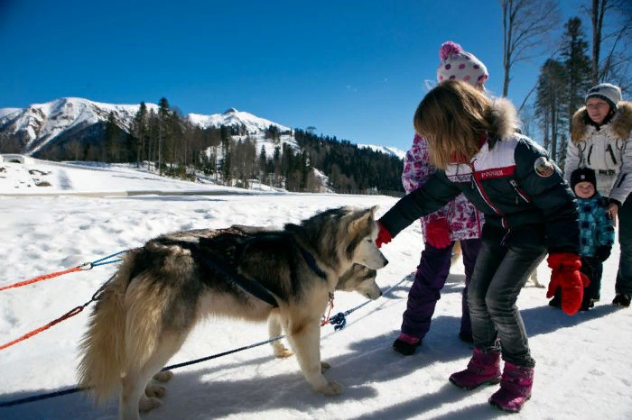 Хаски-центр