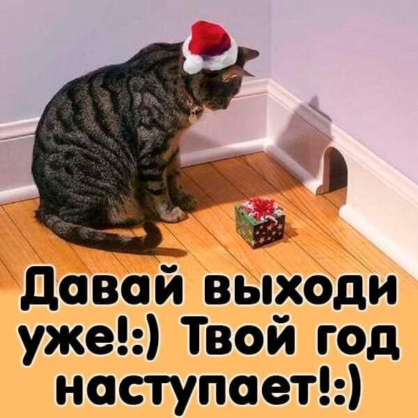 Фото из интернета.
