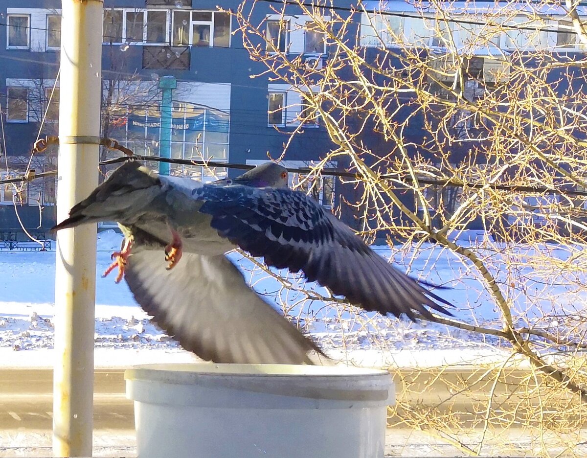 Улёт самолёта))