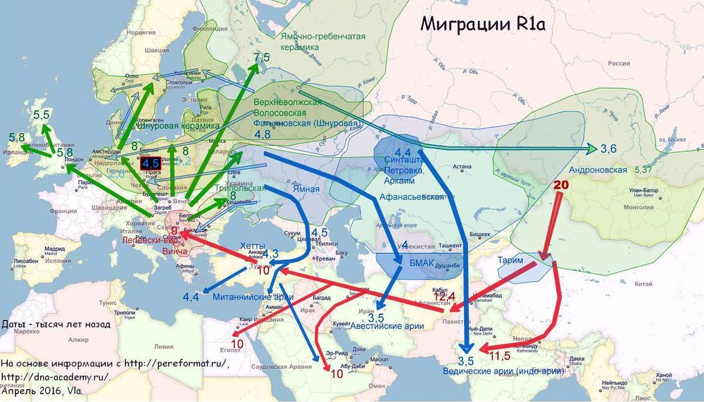 Карта распространения гаплогрупп в мире