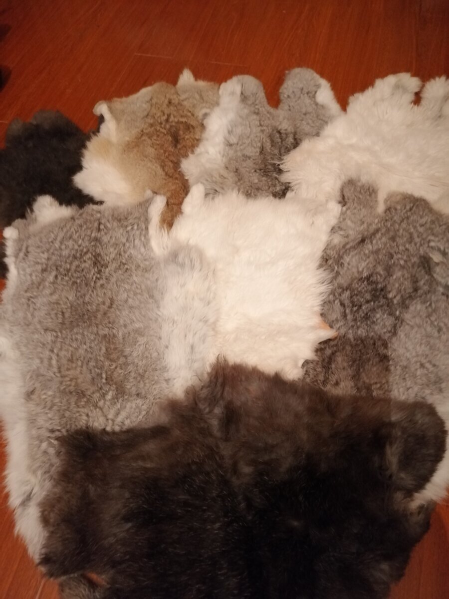 мои 8 выделанных кроличьих  шкурок