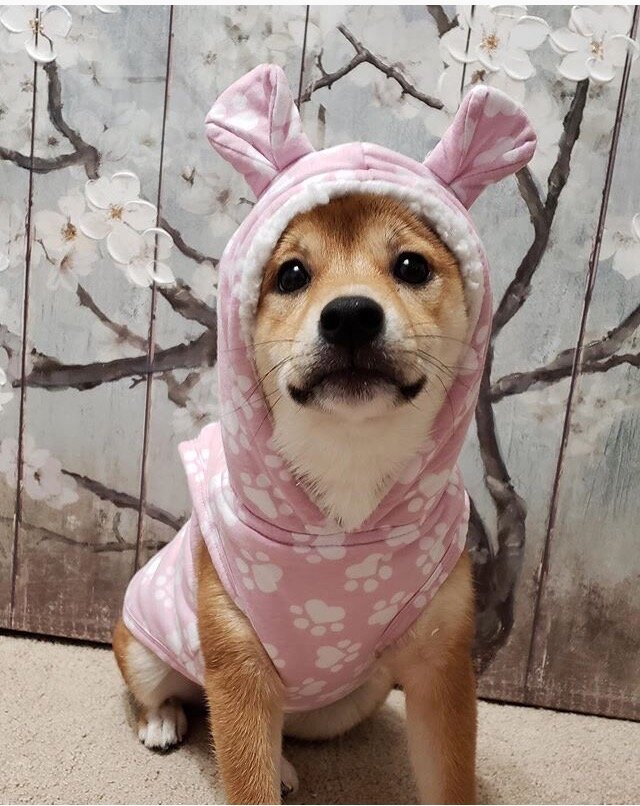 Яндекс.Картинки