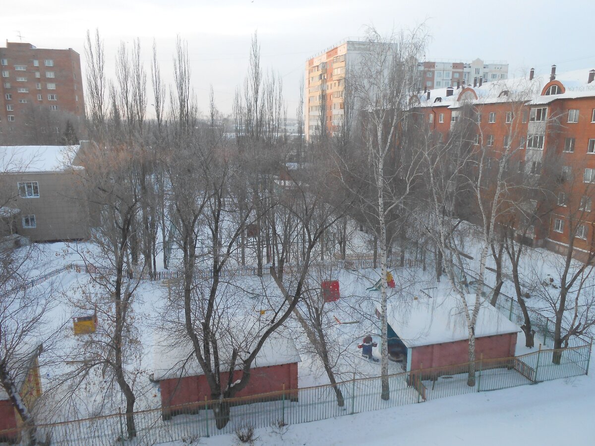 Морозный вид из окна...
