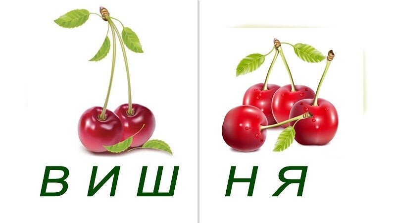 Буква в в слове вишня. Разбор слова вишня. Abc вишня. Буква в в слове вишня. Буква в в слове вишня.