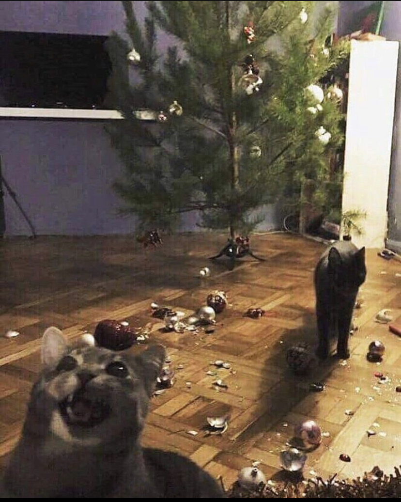 Ты следующий!!!муахахах