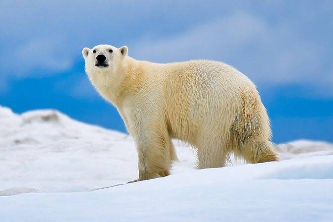Фото: Юрий Смитюк, ТАСС