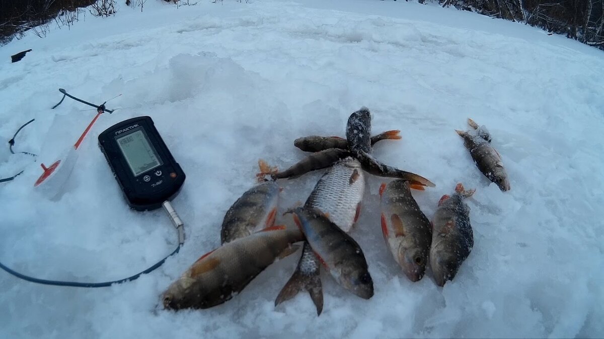 Рыбалка на озере с использованием эхолота Практик-М6.
