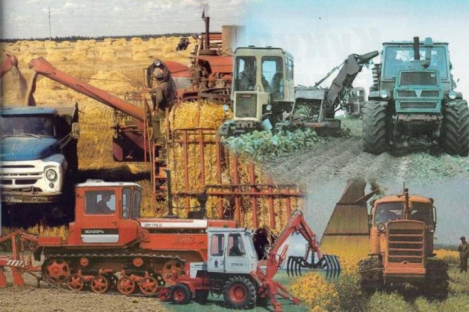 Фото взято из интернета.