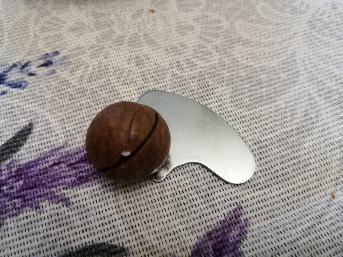 орех-макадамия и ключик! Фото Светы Давыдовой