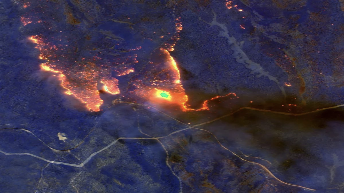 Фото из интернет