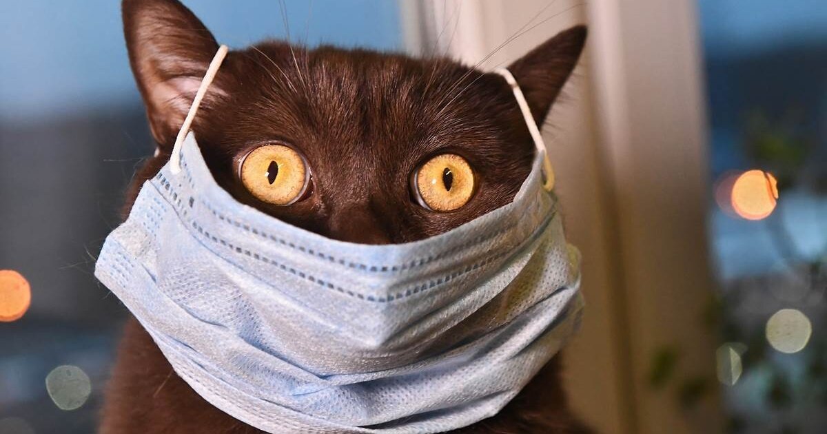 Источник: https://yandex.ru/images/