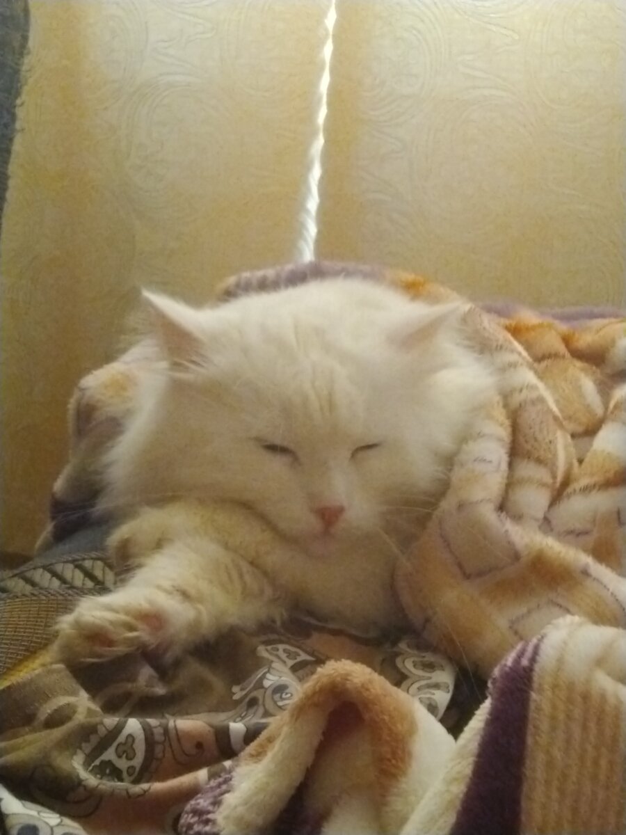 Добро 