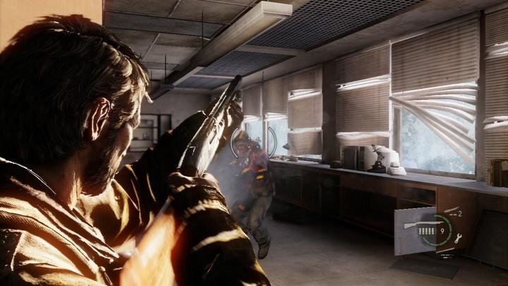 The Last of Us