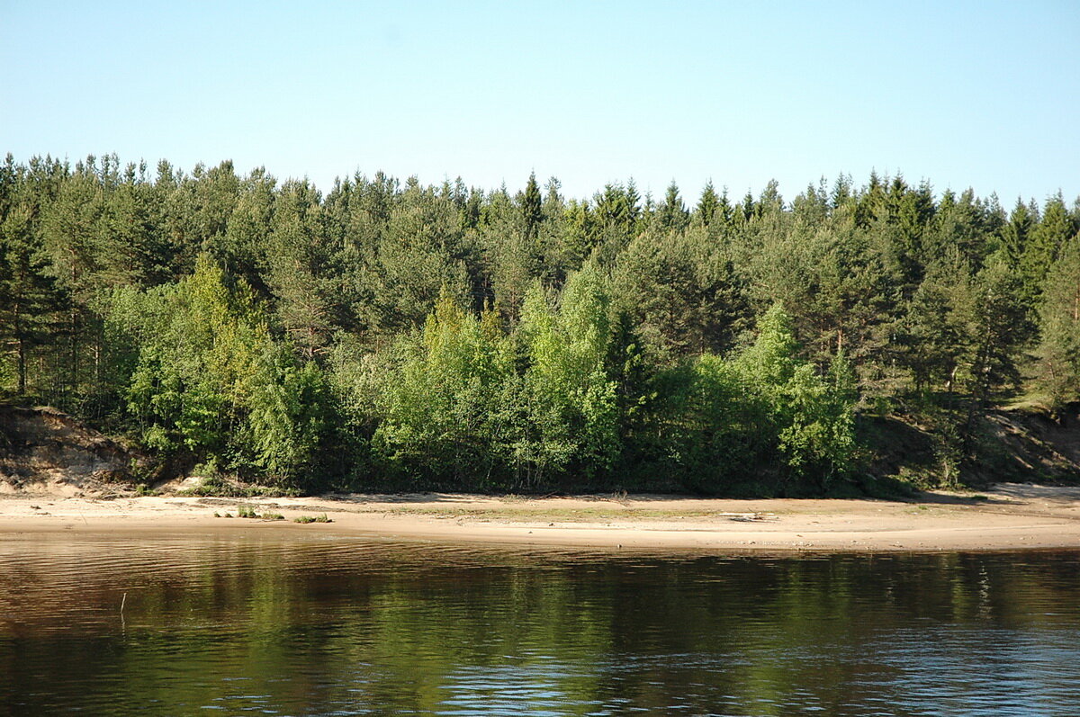 Река свирь связывает озера. Свирь. Свирь город. Озеро ильмень и река волхов. Река свирь ленинградская область.