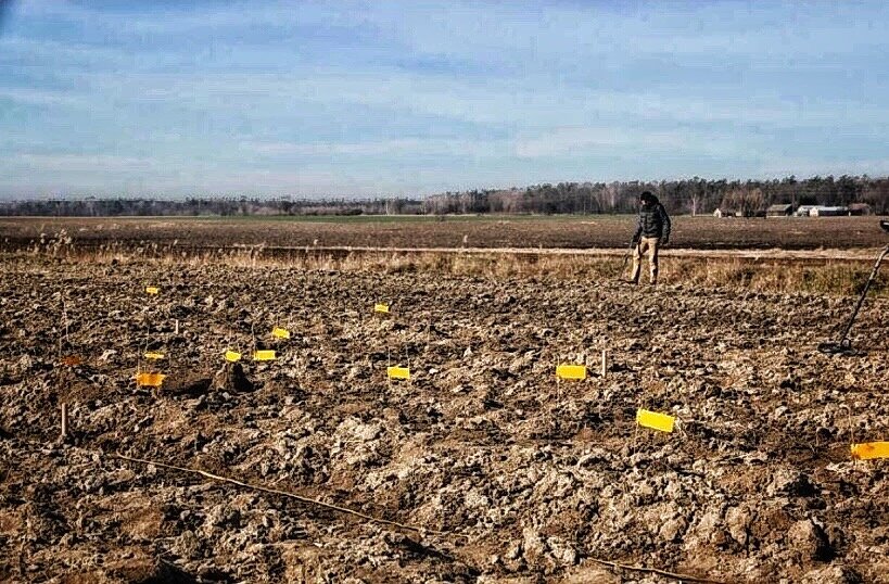 то самое польское поле, желтым места находок ( фото Stanisław Staszic Muzeum Hrubieszów)