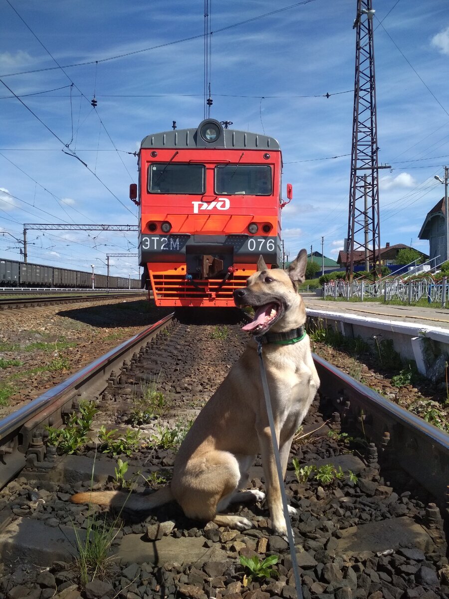 Остановка в Кордоне