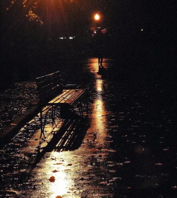 Чем пахнет ночь?  Теплом воспоминаний...
И в полумраке хочется мечтать.
Листва рисует тени на асфальте,
И в зеркалах дождя чернеет неба гладь.
Чем пахнет ночь...
Истомой сладкой,
И тихой грустью по ушедшим днях.
И поцелуями украдкой.
Неуталимым трепетом в груди и радостью в глазах.
Чем пахнет ночь...
Бездумным ожиданьем.
Любовью, страстью, стуком жаждущих сердец.
Безумством чувств и похотью желанья.
Сплетеньем жарких, обнаженных тел.
Чем пахнет ночь? 