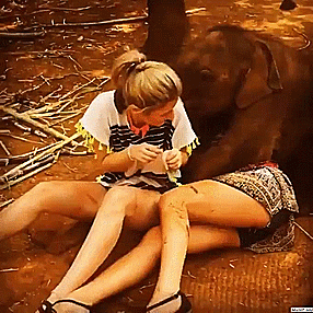 Развлечения туристов