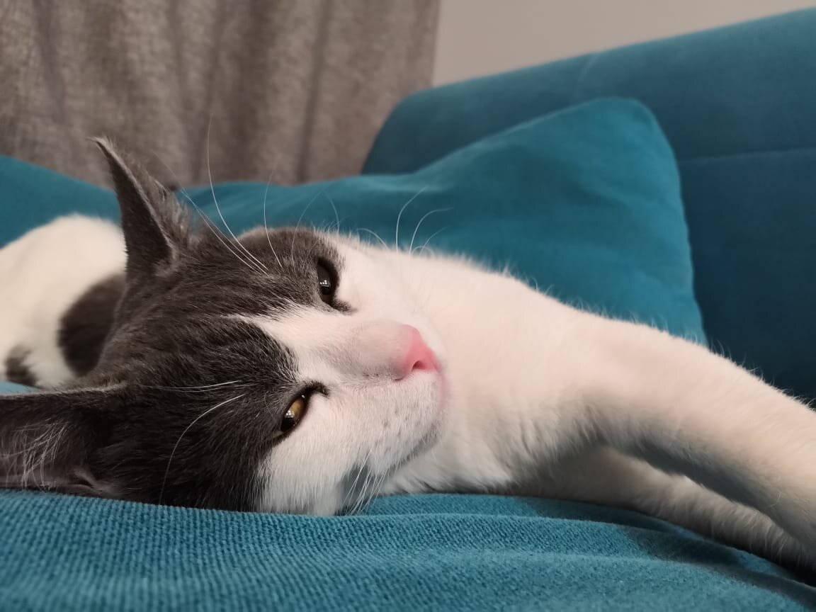 Я готов вещать