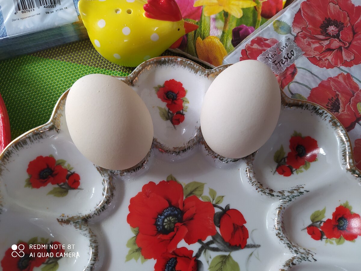 Недостатки тарелок (посуды) для крашеных яиц, которые сразу и не заметить