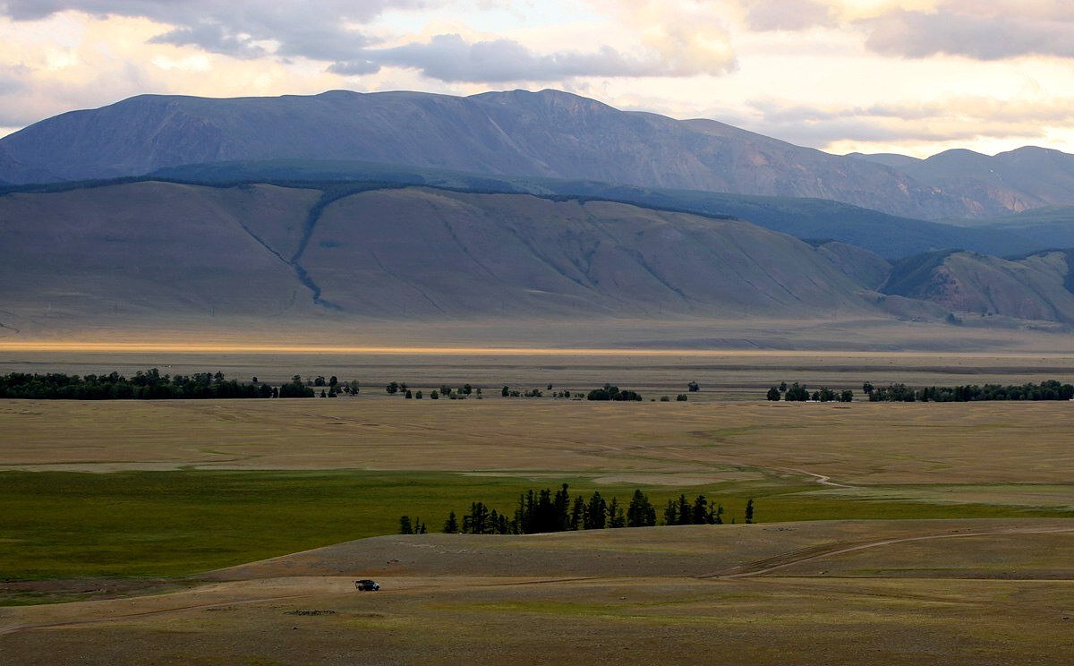 Кулундинская равнина фото