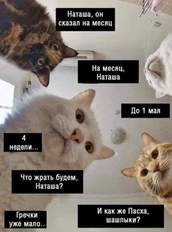 Шок после выступления президента