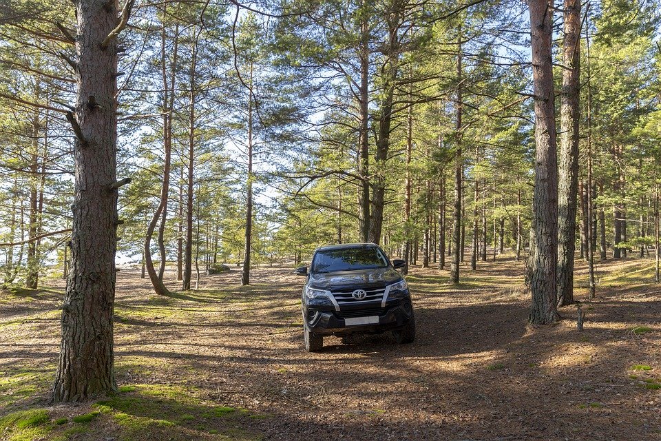 Бесплатные фото на Pixabay