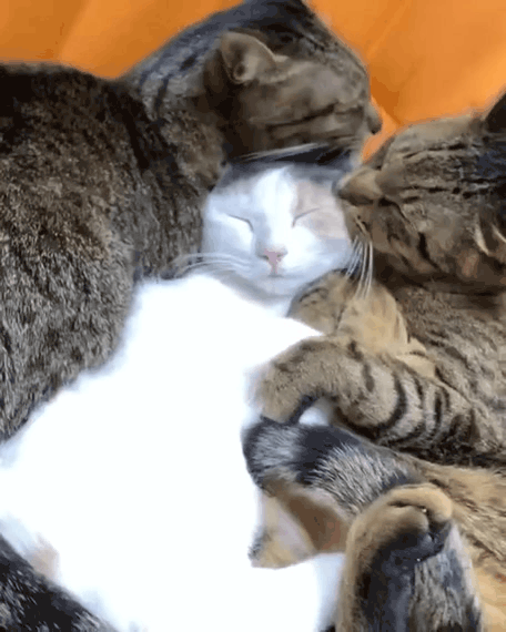 Нажми на картинку, чтобы посмотреть видео. Источник: Ютуб.