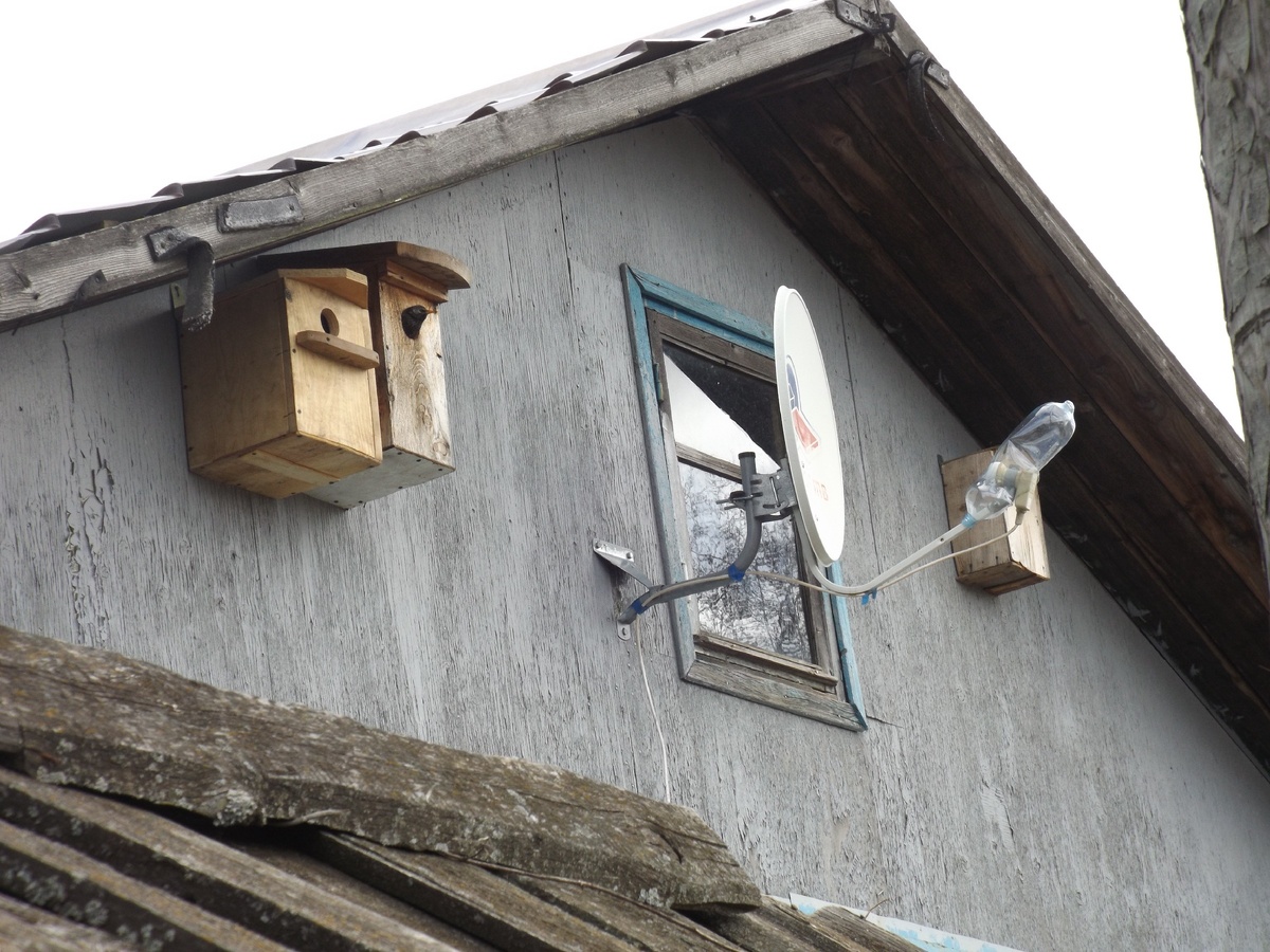 Затем установил второй скворечник 4 года назад