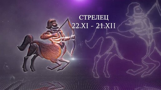 Здоровье стрельцов. Стрельцы знак зодиака интересные факты. Здоровье Стрелец.