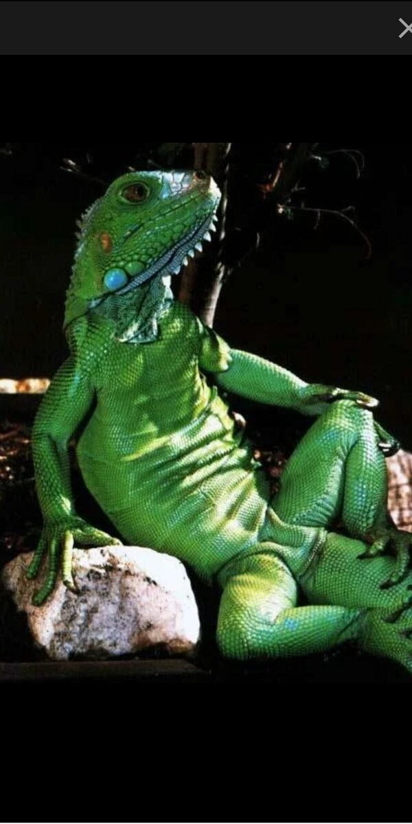 Фото из бесплатных источников