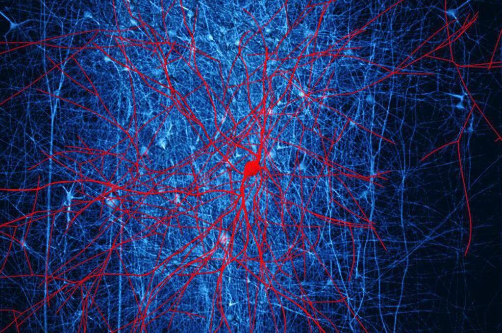 Яндекс картинки