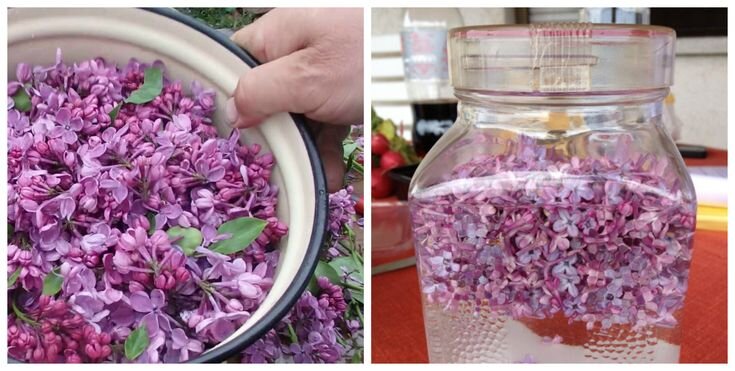 Изображение взято из открытого источника