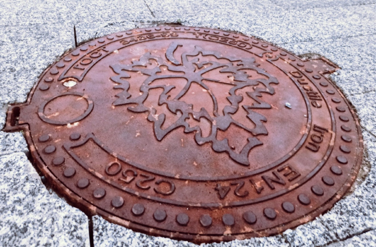 Фото Николая Орлова