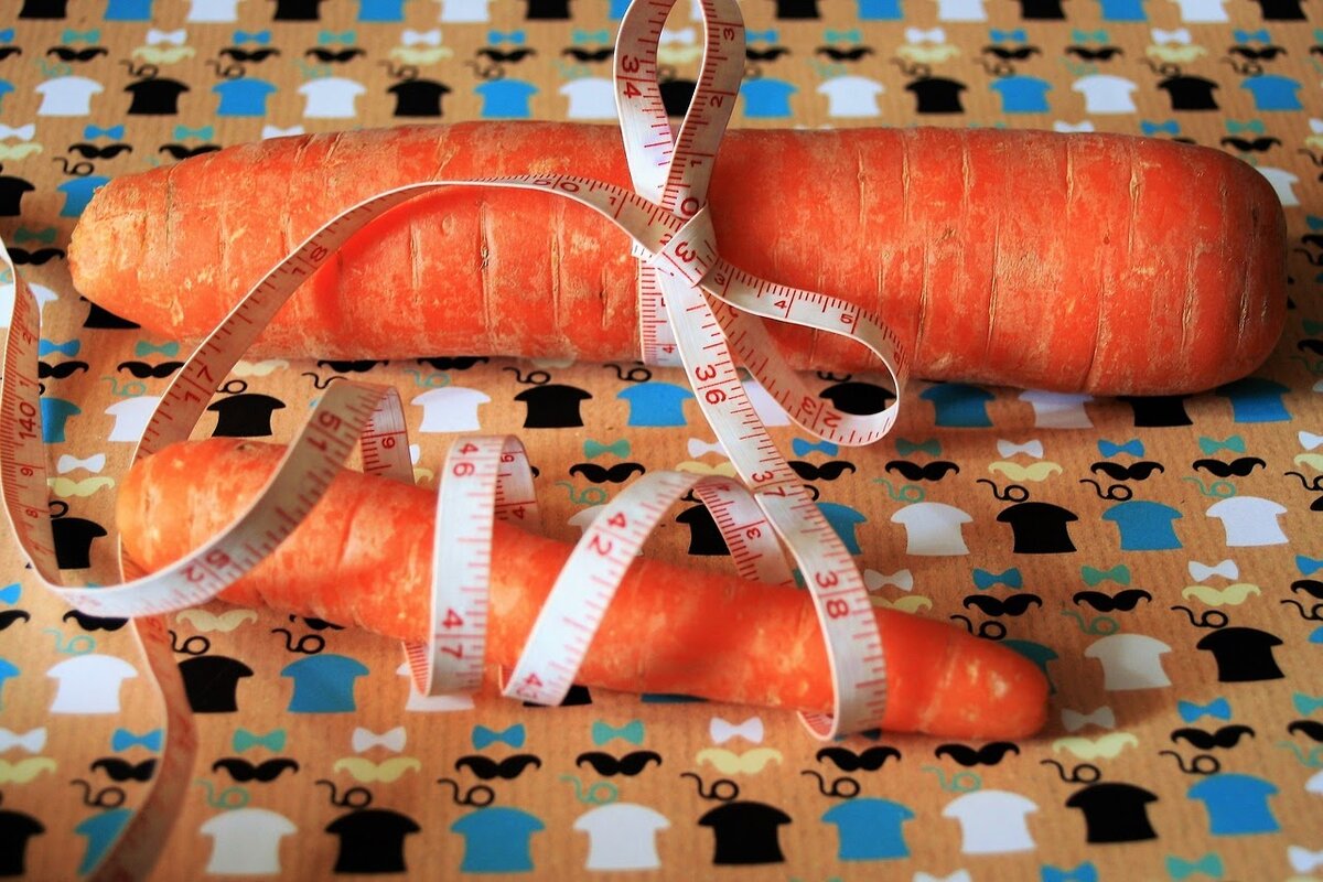 Изображение pasja1000 с сайта Pixabay